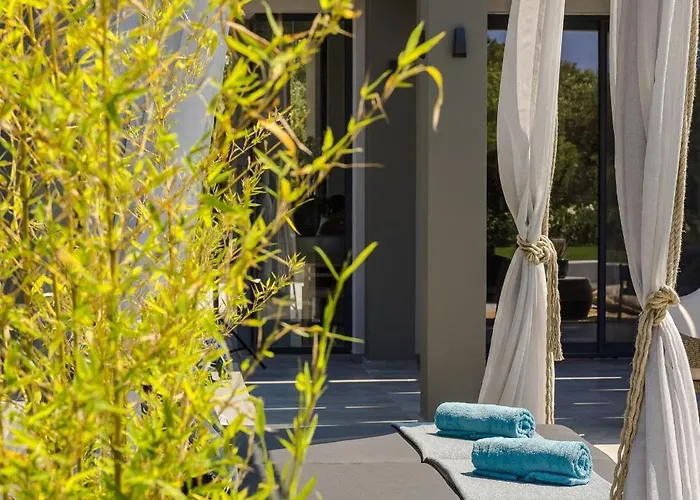 Aegiali Luxury Villa *