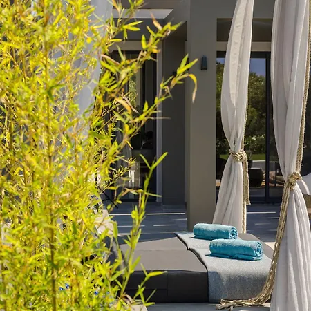 Aegiali Luxury ヴィラ *